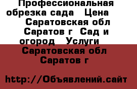 Профессиональная обрезка сада › Цена ­ 250 - Саратовская обл., Саратов г. Сад и огород » Услуги   . Саратовская обл.,Саратов г.